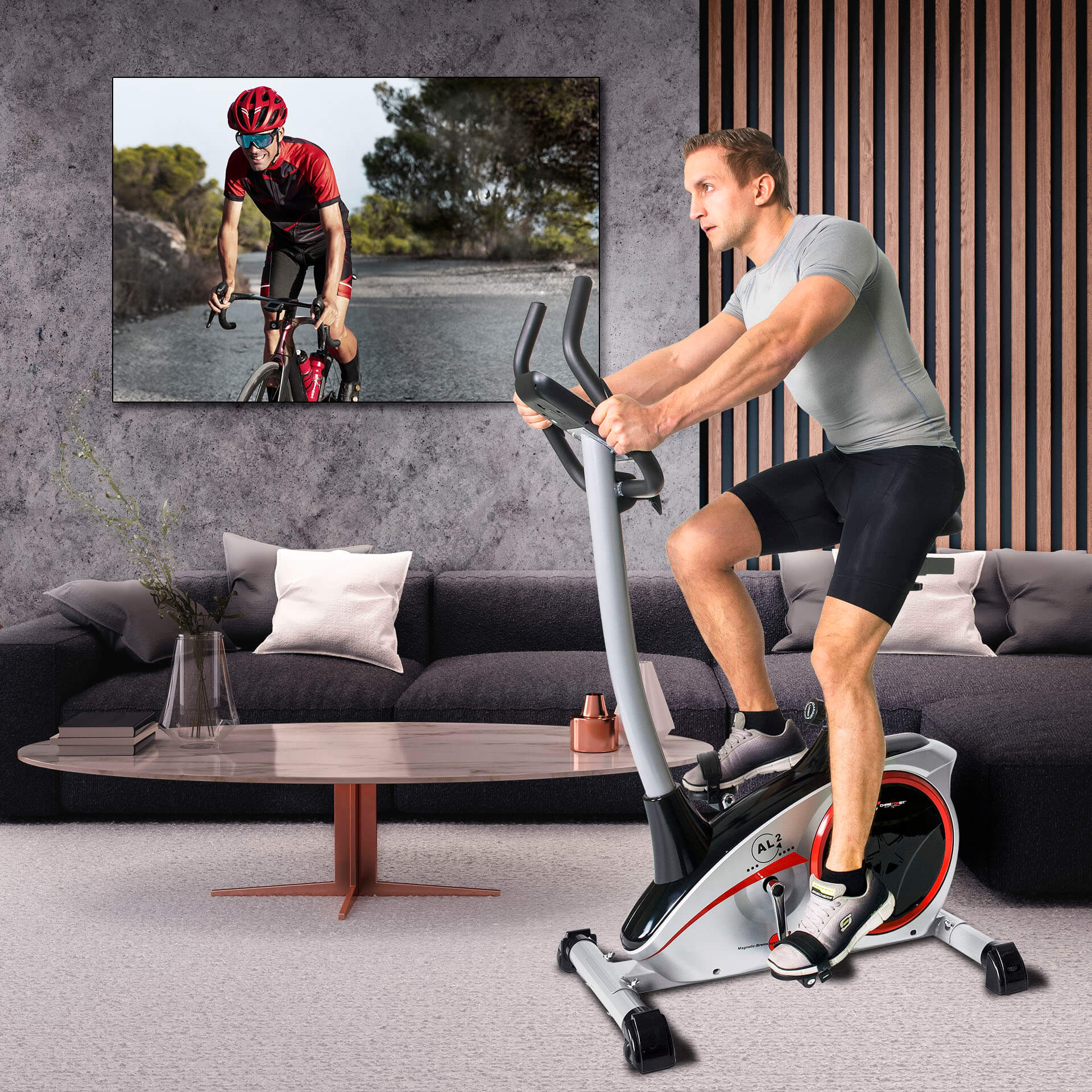 Ergometer AL 2 — Silber